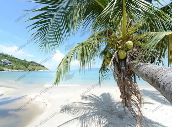 3 Bedroom Villa on Beach Front Resort TG11 — photo 2