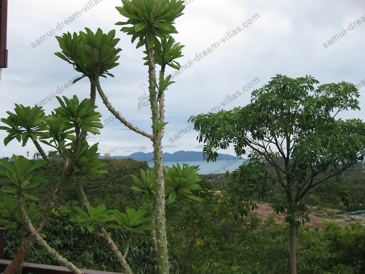 3 Bedroom Sea View Villa Kai Muk — photo 3